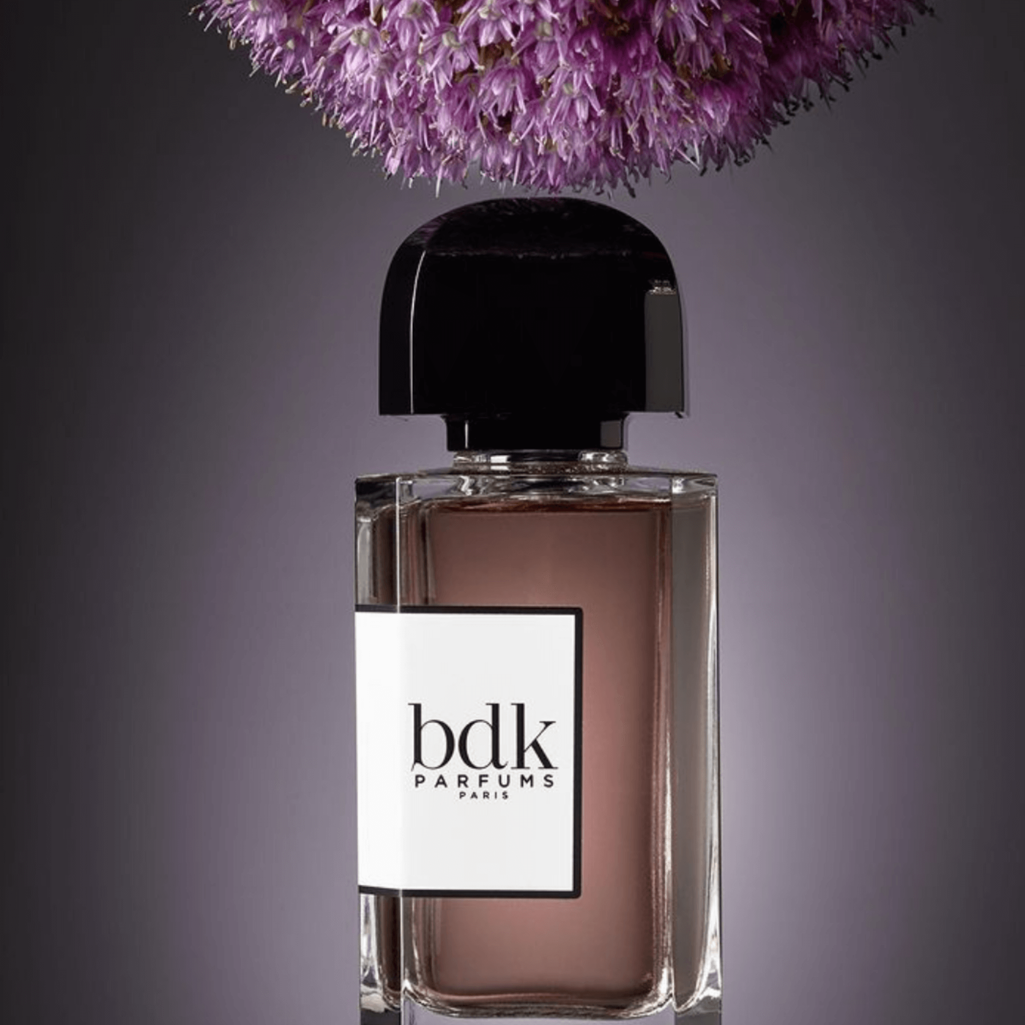 Gris Charnel - Image 4