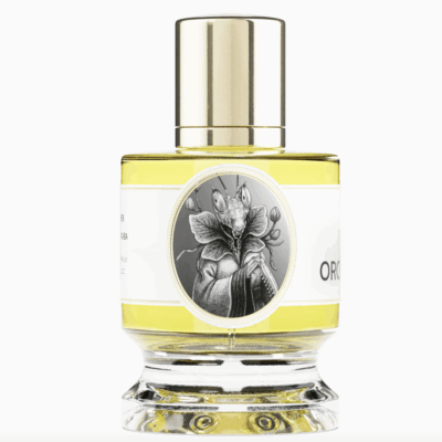 Orchid Mantis by Zoologist