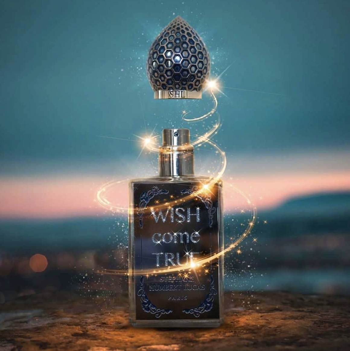 Wish Come True - Image 2